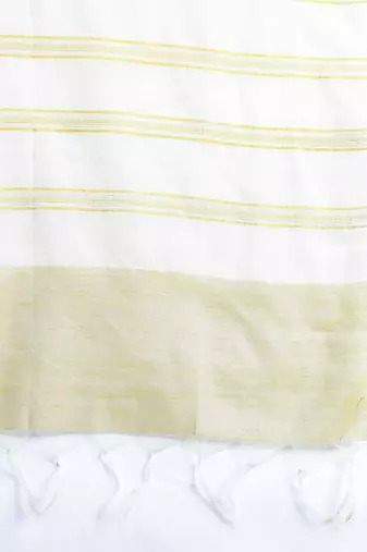Plus Size Embroidered A-Line Kurta Trousers With Dupatta Set