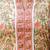 Floral Printed Notch Neck Pure Cotton Straight Kurta With Salwar & Dupatta