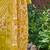 Mustard Leheriya Printed Thread Work Pure Cotton Kurta with Trousers & Dupatta
