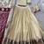 Festive Shimmer Organza Zari Woven Chaniya Choli with Designer Lace Border