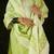 Women Ethnic Motifs Regular Kurta with Trousers & With Dupatta