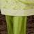 Women Ethnic Motifs Regular Kurta with Trousers & With Dupatta
