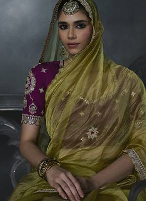Olive green tissue silk blend embroidered saree with magenta purple  blouse 3