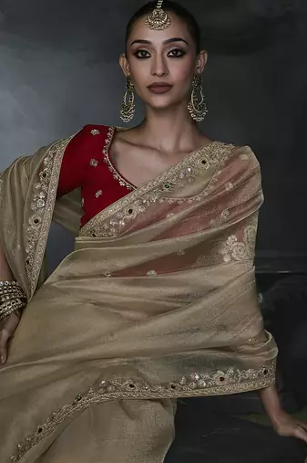 Beige tissue silk blend embroidered saree with red blouse