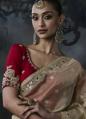 Beige tissue silk blend embroidered saree with red blouse 3