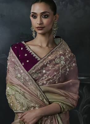 Olive green and mauve pink tissue silk blend embroidered saree with dark purple blouse 2