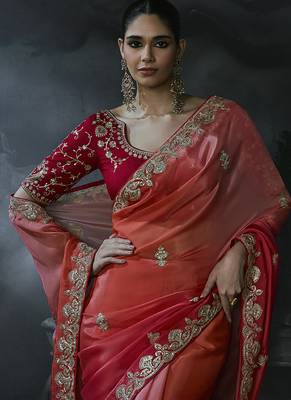 Multicolor tissue silk blend embroidered saree with crimson red blouse 2