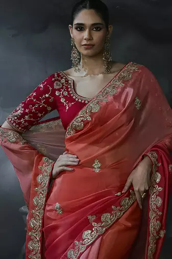 Multicolor tissue silk blend embroidered saree with crimson red blouse