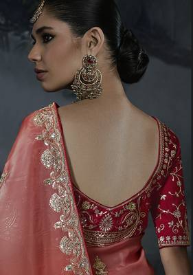 Multicolor tissue silk blend embroidered saree with crimson red blouse 3