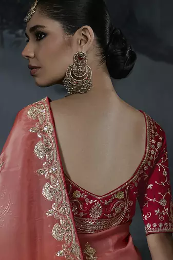 Multicolor tissue silk blend embroidered saree with crimson red blouse