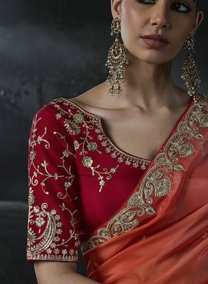 Multicolor tissue silk blend embroidered saree with crimson red blouse 4