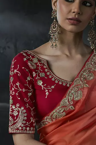 Multicolor tissue silk blend embroidered saree with crimson red blouse
