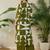 Women Printed Regular Beads and Stones Pure Cotton Kurta with Palazzos