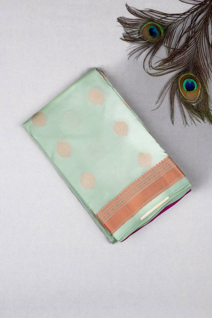 Pastel green and violet touch silk saree with blouse