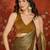 Brown & gold tissue satin sequins saree with unstitched blouse piece.