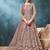 Net embroidered chikoo anarkali dress