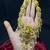 Antique gold lakshmi temple jewelry long necklace set