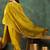 Women Ethnic Motifs Embroidered Regular Thread Work Kurta with Salwar & With Dupatta