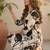 Women Floral Printed Regular Pure Cotton Kurta with Trousers