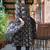 Women Floral Printed Panelled Mirror Work Kurta with Trousers & With Dupatta