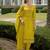 Floral Embroidered Thread Work Straight Kurta With Trousers And Dupatta