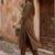 Women Regular Thread Work Kurta with Trousers