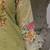 Floral Embroidered Mirror Work Pure Cotton Kurta With Trousers & Dupatta