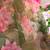Floral Embroidered Regular Thread Work Straight Kurta with Trousers & Dupatta