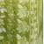 Women Floral Printed Regular Beads and Stones Kurta with Trousers & With Dupatta