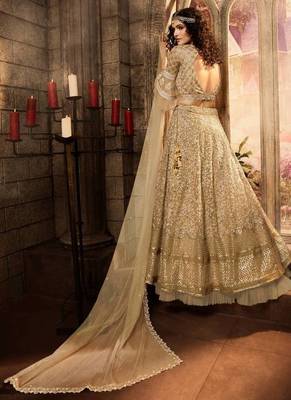 Beige Embroidered Net Semi Stitched Lehenga 2