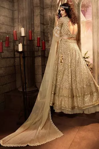 Beige Embroidered Net Semi Stitched Lehenga