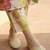 Women Floral Printed Regular Pure Cotton Kurta with Trousers