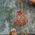 Scarlet red embroidered velvet potli bag