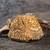Gold diamond embroidered silk clutch