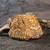 Gold embroidered silk mini clutch