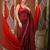 Red cotton saree with sequined pallu