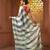 Tea green and grey cotton handwoven half n half saree with stripe pattern