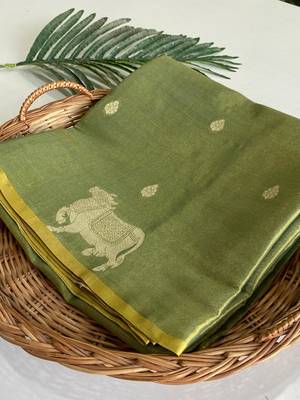 light olive coloer Zari All Over Pichwai Pattern Tilak Butti Motifs tissue saree 3
