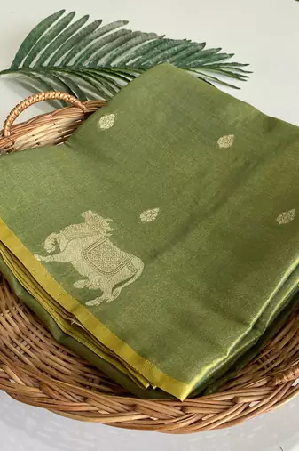 light olive coloer Zari All Over Pichwai Pattern Tilak Butti Motifs tissue saree