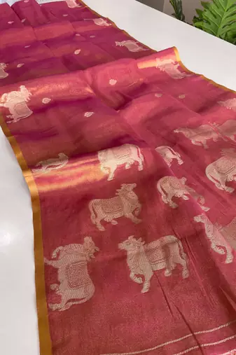 pink coloer Zari All Over Pichwai Pattern Tilak Butti Motifs tissue saree