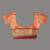 Red tissue soft saree with zari borders