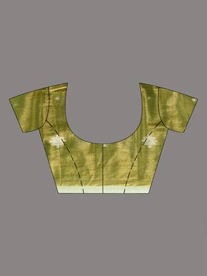Parrot green texture motifs tissue saree with stripes pallu 4