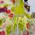 Parrot green designer embroidered top plazzo dupatta set for party and wedding