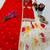 Red designer embroidered silk blend party wear sharara suit and dupatta set