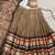 Brown Chanderi Plain Chaniya Choli with Rich Zari Weaving - Full Stitched Free Size