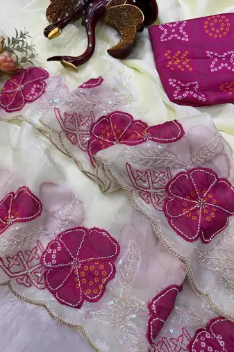 Rani Pink Color Beautiful Aplic work with sequins  Embroidery Work Silk Blend Saree