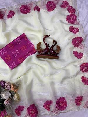 Rani Pink Color Beautiful Aplic work with sequins  Embroidery Work Silk Blend Saree 4