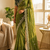 Parrot Green Color Sequance and Zari Embroidery Work Satin Saree