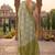olive green chanderi striped printed ready to wear saree
