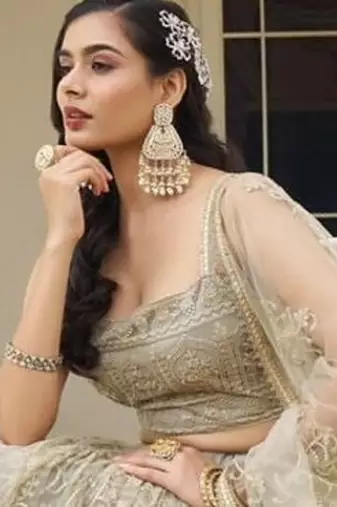 grey embroidery net lehenga choli with dupatta